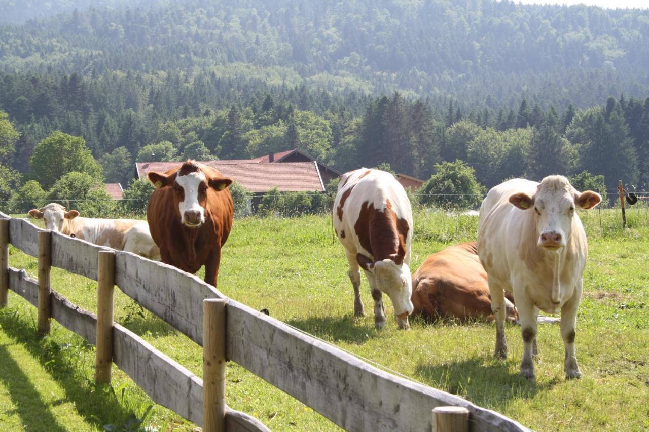 Gaestehaus Herbstbauernhof Siegsdorf Dış mekan fotoğraf